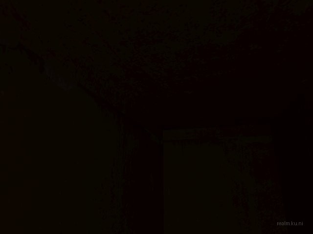 dm_[exile]_cat_room thumb 11