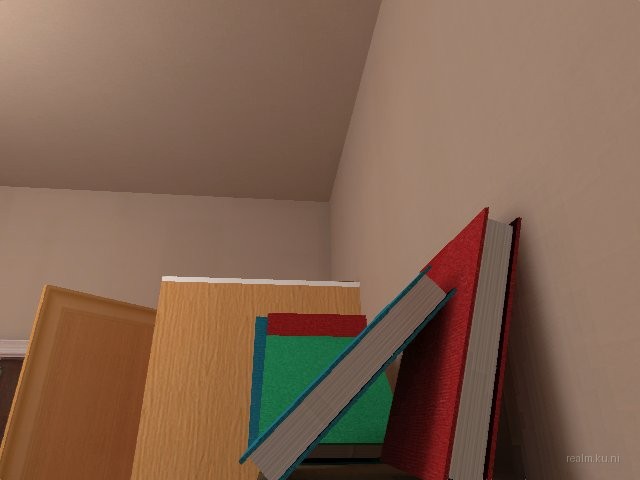 dm_[exile]_cat_room thumb 30