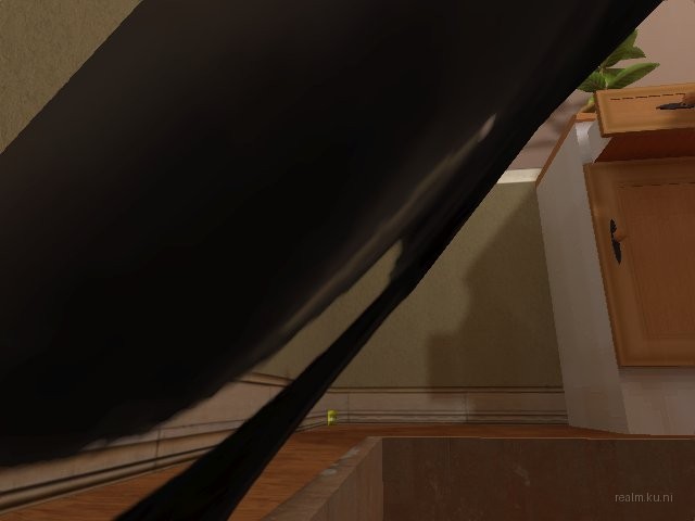 dm_[exile]_cat_room thumb 34