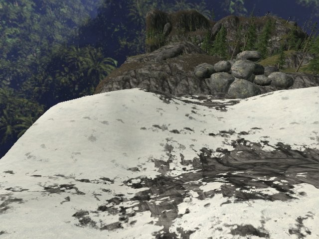 sss_forest thumb 25