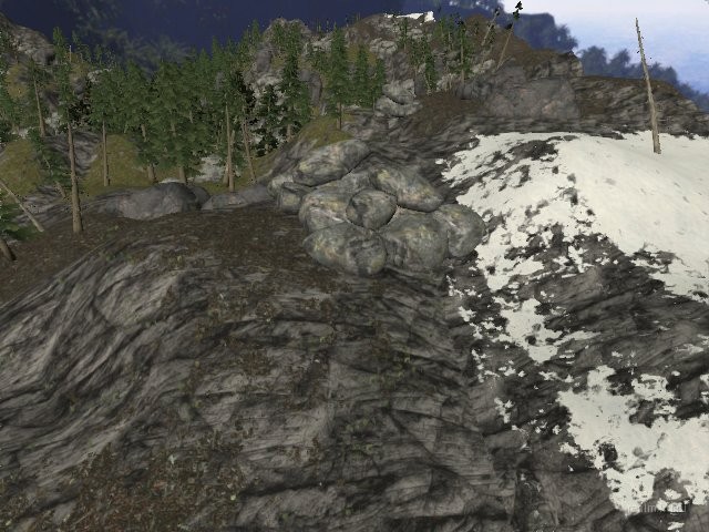 sss_forest thumb 22
