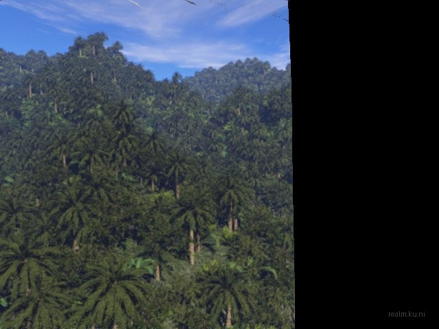 sss_forest thumb 10