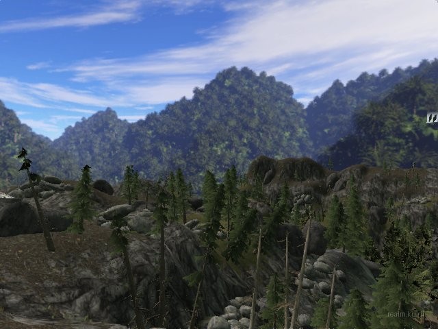 sss_forest thumb 11