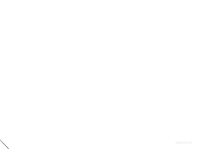 dm_arborea_b2 thumb 9