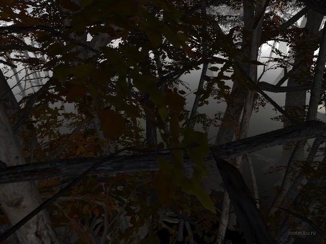 zm_forest_night thumb 18