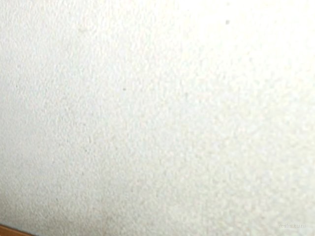 zm_winterfun_b2 thumb 43