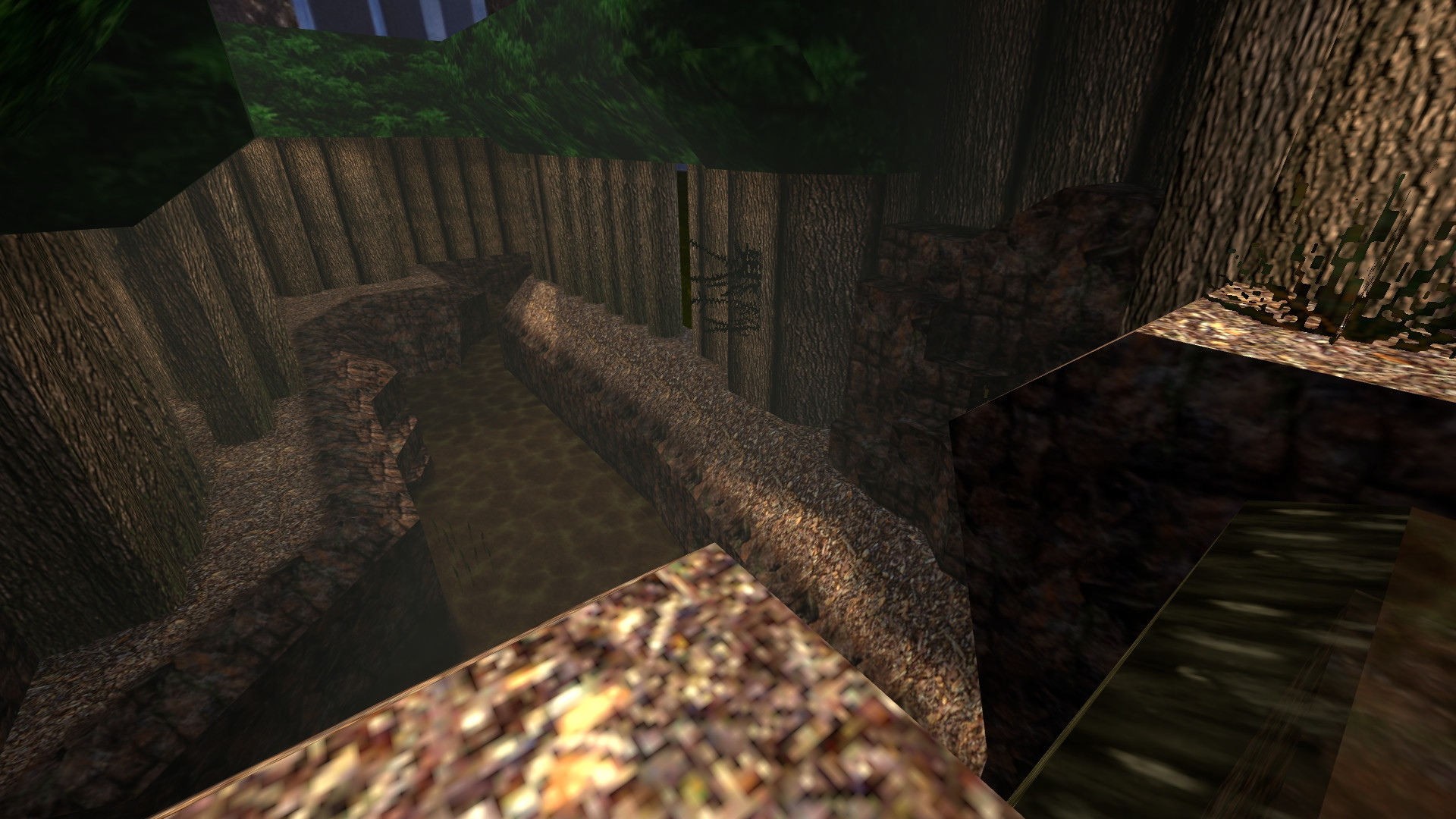 as_forest_csbeta thumb 3
