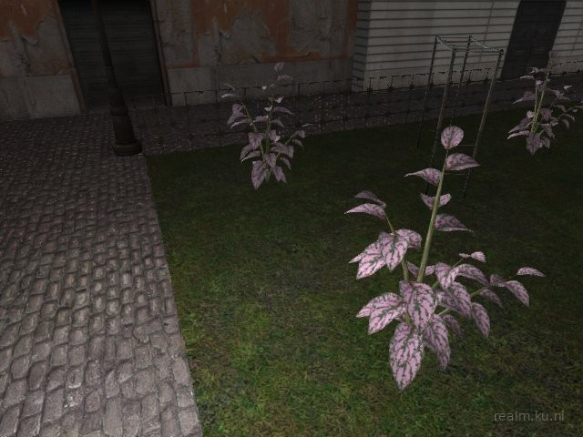 scm_cincity_sp2 thumb 43