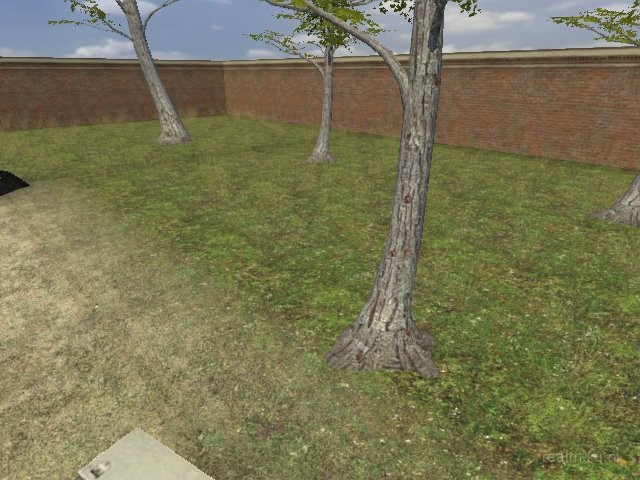 cs_multifruits thumb 8