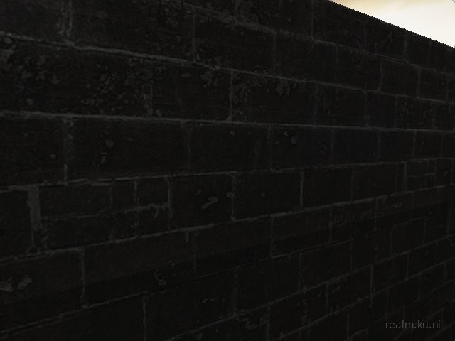 de_litt thumb 10