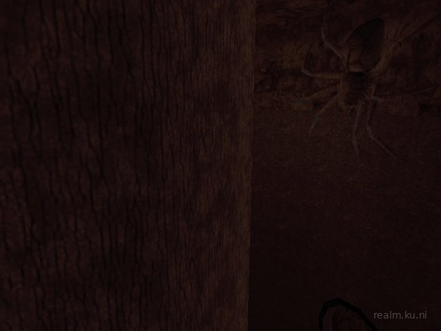 ze_night_cinema_css2a thumb 13