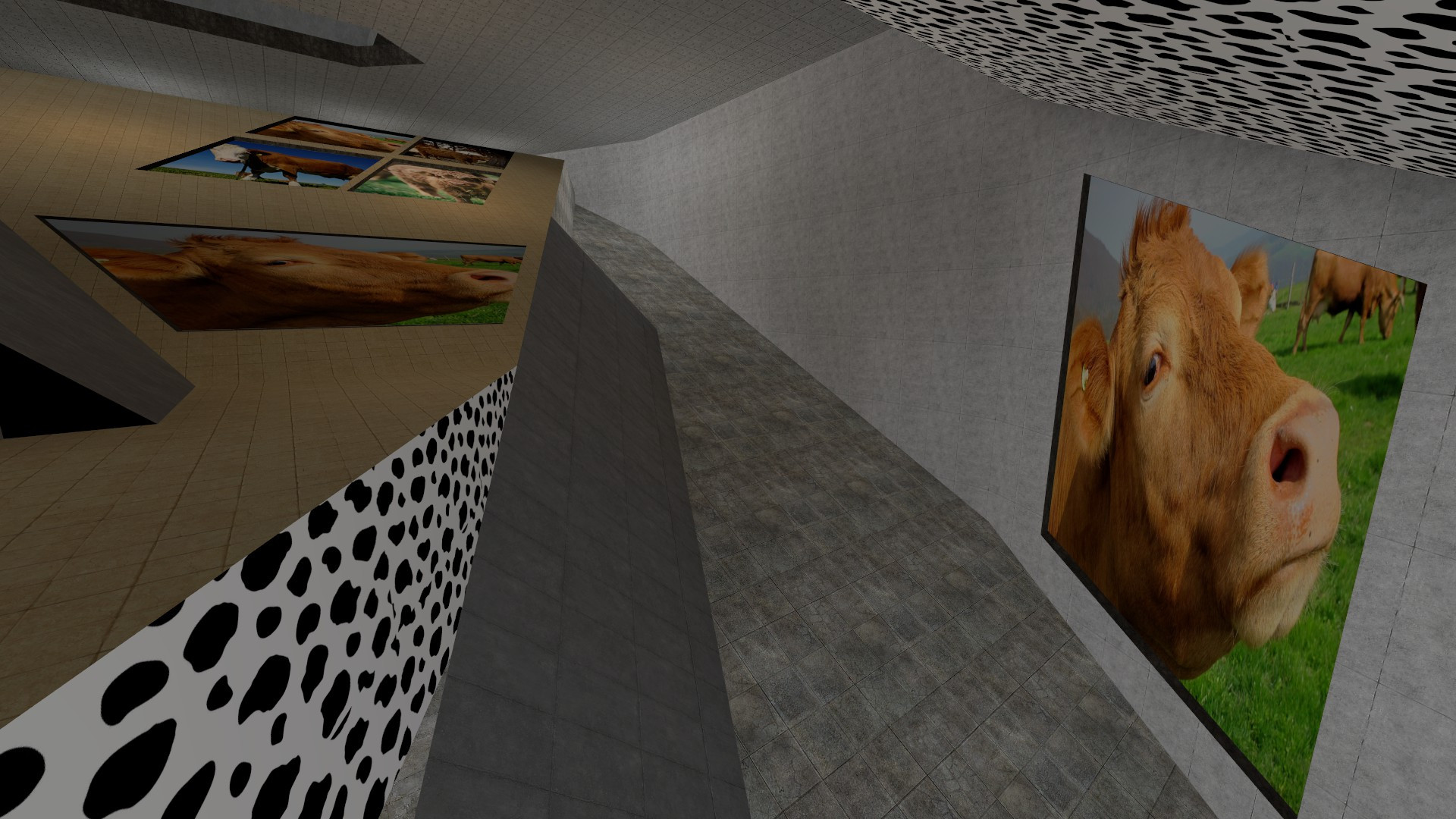 surf_life_of_cow for css screenshot