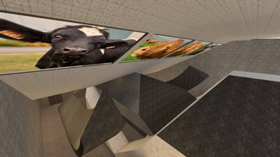 surf_life_of_cow thumb 4