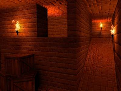 gg_fh_bactria thumb 3