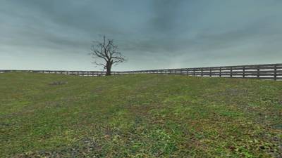 dm_buggy_kn thumb 13