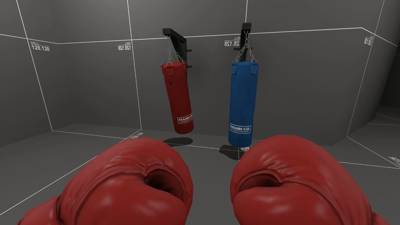 Boxing Sack thumb 3