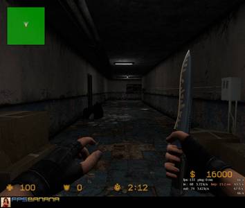 Zm_Z_Alchemilla thumb 4