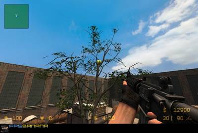 fy_MelonTree thumb 3